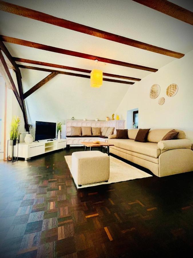 Chris & Aris Zentrum Apartment Waldshut-Tiengen