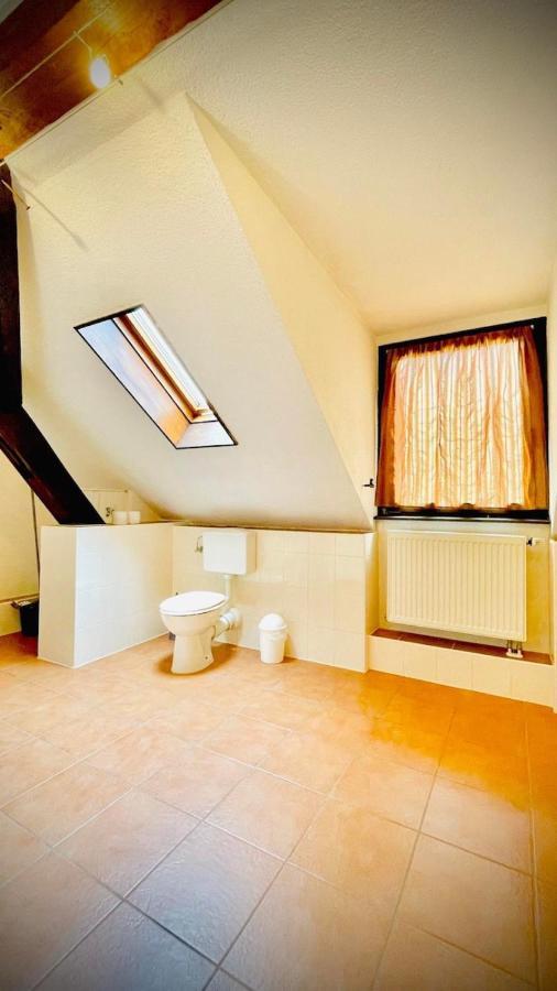 Apartment Chris & Aris Zentrum Waldshut-Tiengen